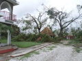 13-2-days-later-SEED-main-entrance