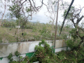 20-2-days-later-View-towards-the-farm