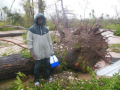 9-Most-of-cedar-trees-are-down